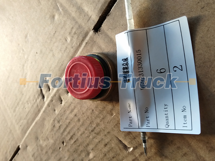 WG9231330015磁性螺塞总成Magnetic screw plug assembly.jpg